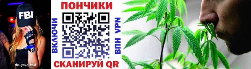 Конопля план Купить где Темников